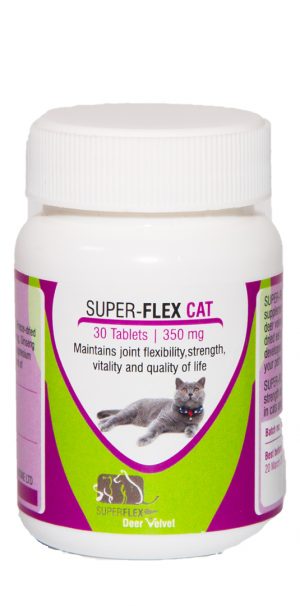 Superflex Cat